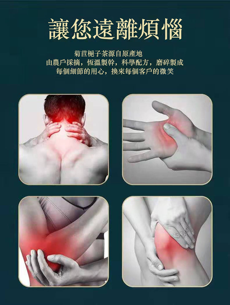 菊苣梔子茶