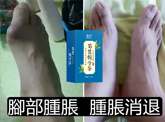菊苣梔子茶